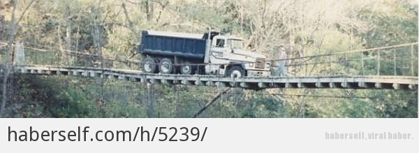 29514_m.jpg