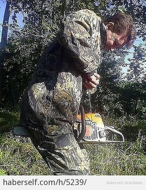 29509_m.jpg